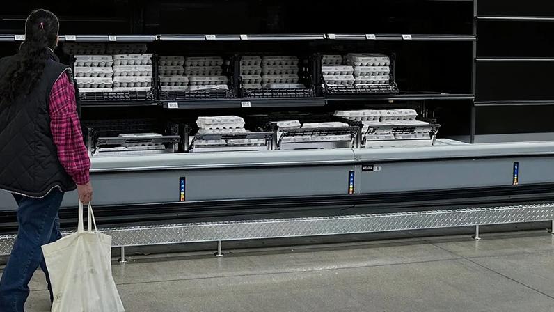 Preço dos ovos subiu 60 cêntimos (mais 41%) no último ano