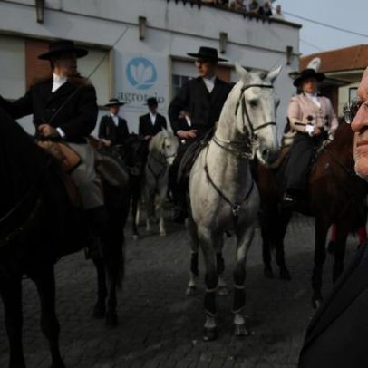 Golegã: GNR regista detenções e contraordenações na Feira do Cavalo