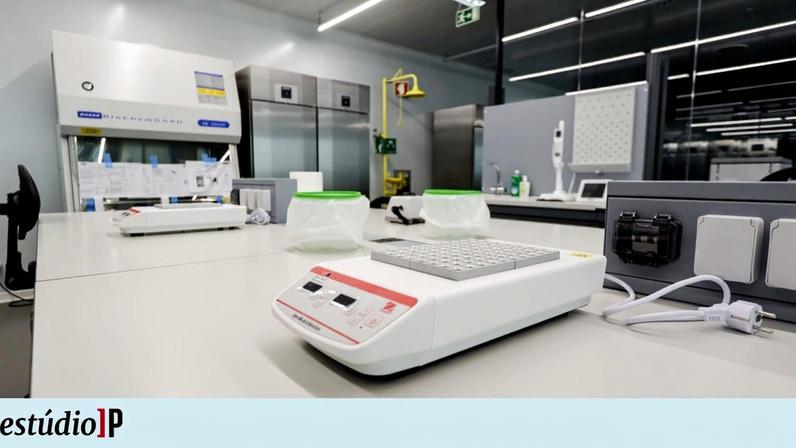 Pingo Doce é caso único no laboratório de Biologia Molecular