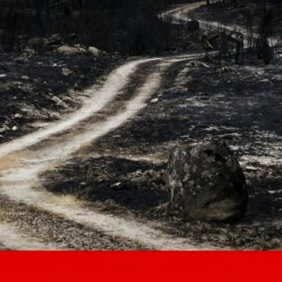 Bombeira em reserva de Pedrógão Grande condenada a quatro anos de prisão