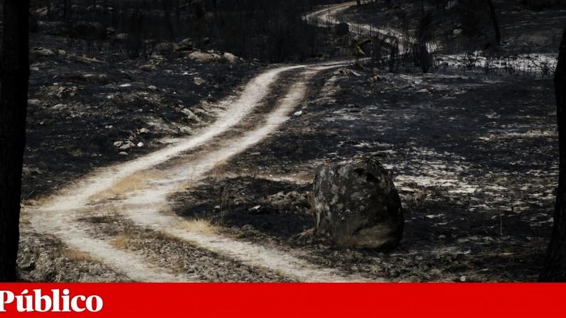 Bombeira em reserva de Pedrógão Grande condenada a quatro anos de prisão
