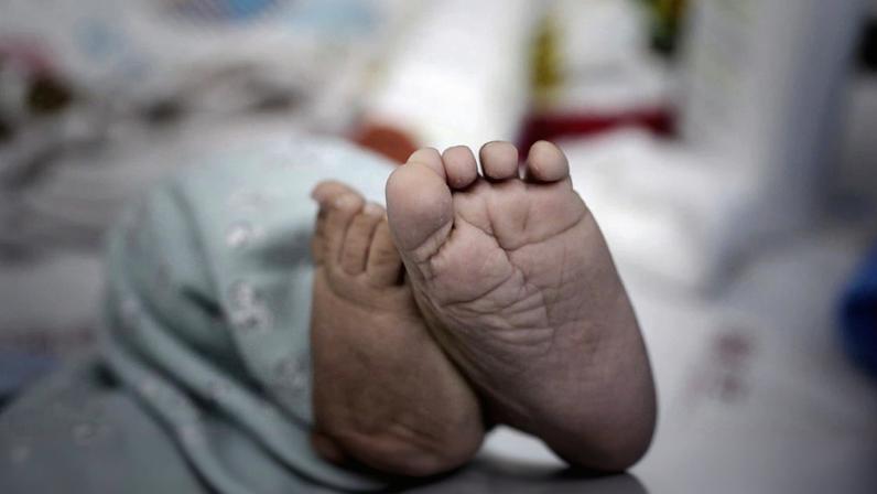 Recém-nascido encontrado morto numa lixeira em Coimbra, PJ investiga