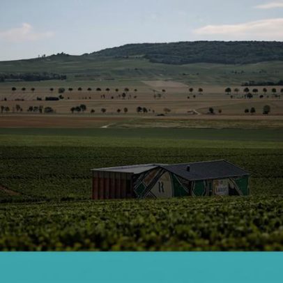 Ruinart apresenta Singulier, o novo cuvée, como história de adaptação