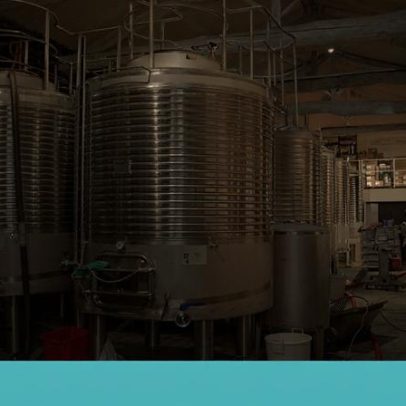 Stocks de vinho no Douro atingem recorde dos últimos cinco anos