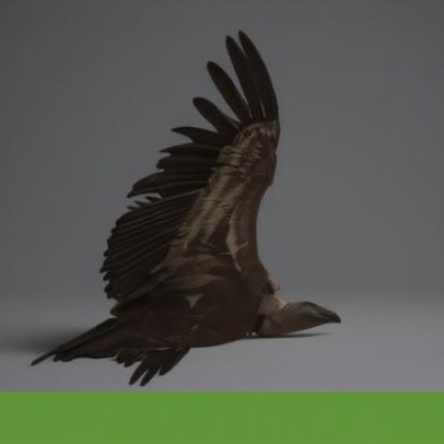 Palombar faz sementeira de emergência no Douro Internacional para alimentar fauna