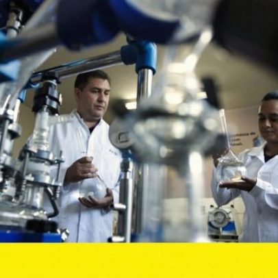 Startup usa casca de camarão para limpar água e produzir bioplástico