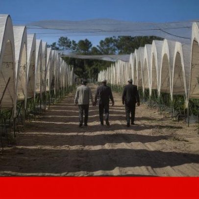 Via verde para a imigração: de alojamento obrigatório a contrato de trabalho