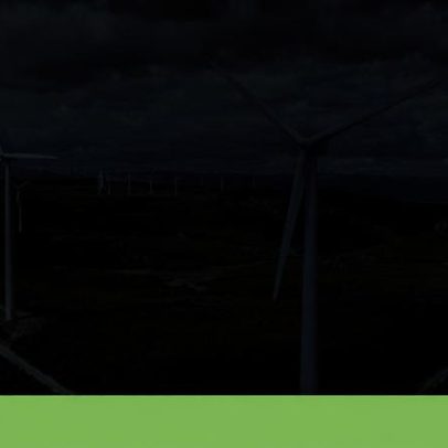 Projetos de eólicas e solares ajustados para evitar impactos na biodiversidade
