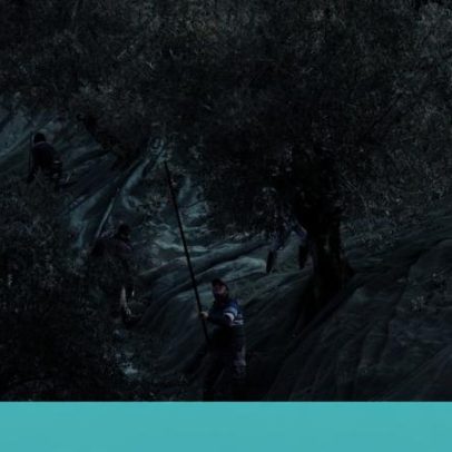 Azeites de alta qualidade; é preciso mudar hábitos