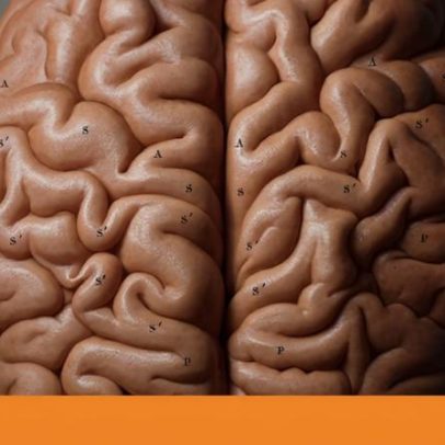 Acreditar de forma extrema em ideologias pode danificar o cérebro, Leor Zmigrod