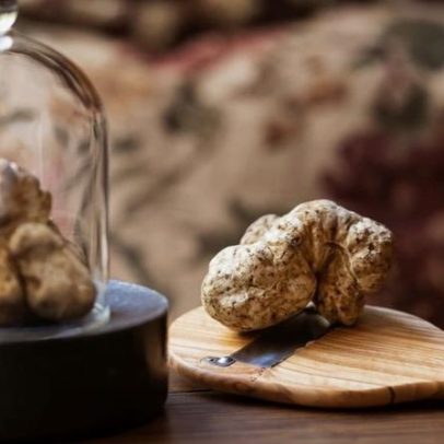 Trufas brancas de Alba chegam a restaurantes de Lisboa, por tempo limitado