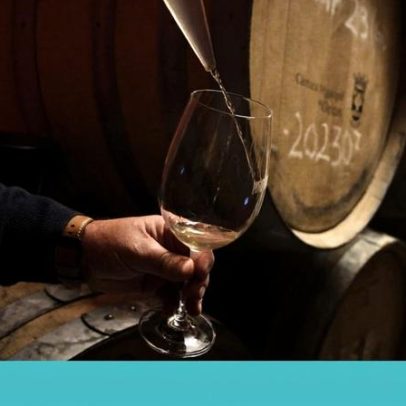 Vinho único é produzido no pavilhão de caça do Marquês de Pombal