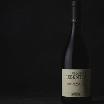 Pequenos Rebentos Vinhas Velhas 2022 recebe crítica no Público
