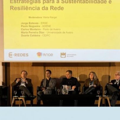 Redes e literacia impulsionam a transição energética