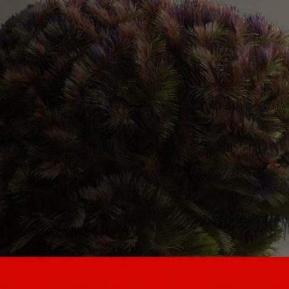 Cinco fases do cérebro ao longo da vida com alterações aos 9, 32, 66 e 83 anos