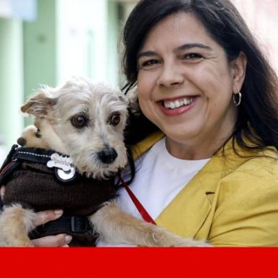 PAN não apoia nenhum candidato presidencial, aponta fragmentação eleitoral