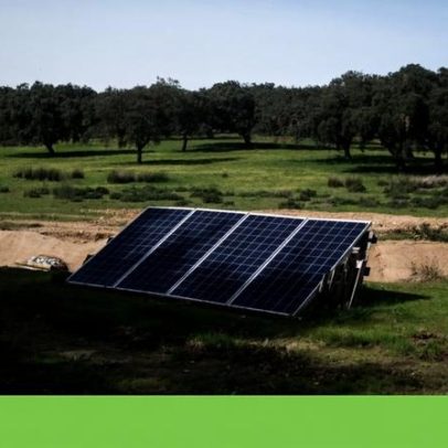 OCDE alerta que políticas fragmentadas atrapalham a tripla crise ambiental