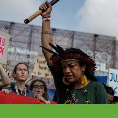 COP da floresta: impactos para florestas e povos indígenas avaliados