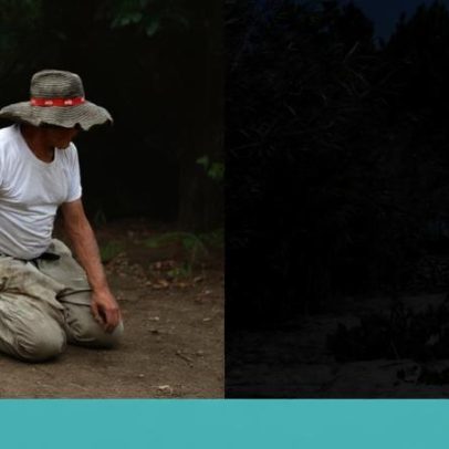 Vinhas velhas, património único europeu, em risco de desaparecer em Portugal