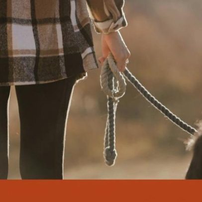 Cabo rasgado terá causado a electrocussão de dois cães em Odivelas