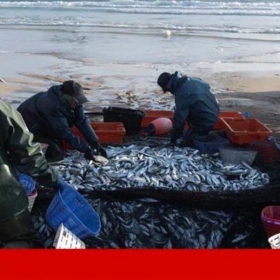 Pescadores e agricultores criaram a Costa de Caparica, em Almada