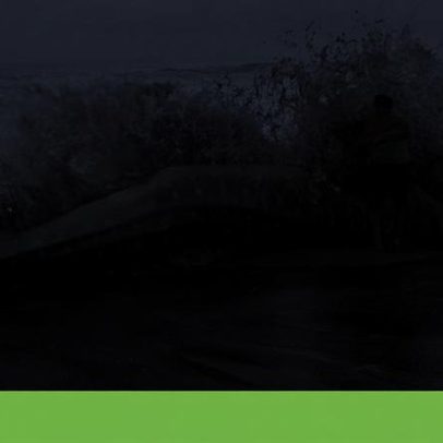 CITES aumenta proteção de 70 espécies de tubarões, raias e mantas