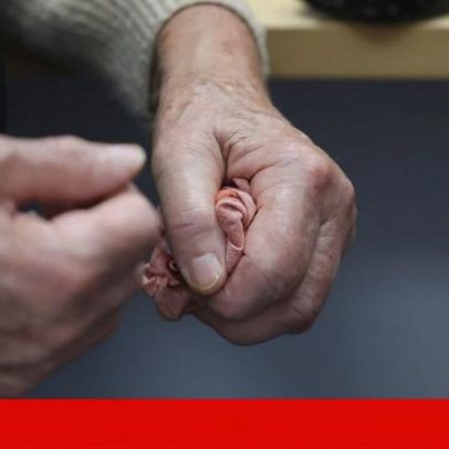 Segurança Social encerra lar ilegal em Setúbal por higiene precária com 43 idosos