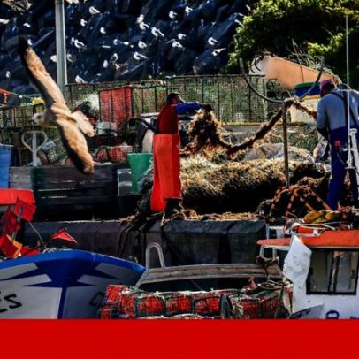 Barco de pesca naufraga ao largo de Sines; sete pescadores salvos