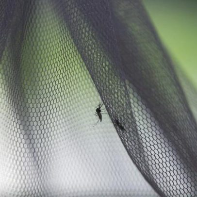 Quase 3 milhões de casos de malária e nove mortos na Zambézia, Moçambique
