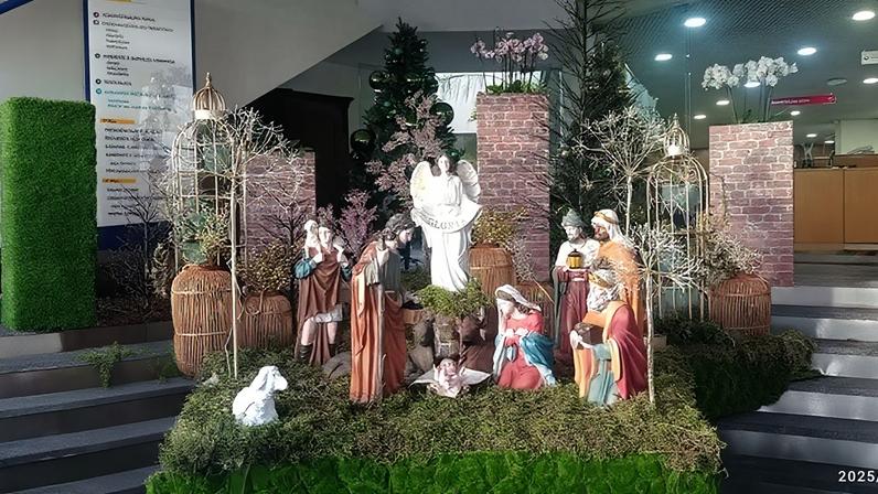 Câmara de Lobos acende luzes de Natal