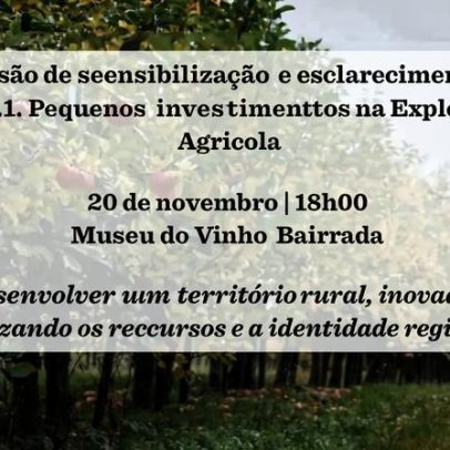 Museu do Vinho Bairrada promove sessão sobre pequenos investimentos agrícolas