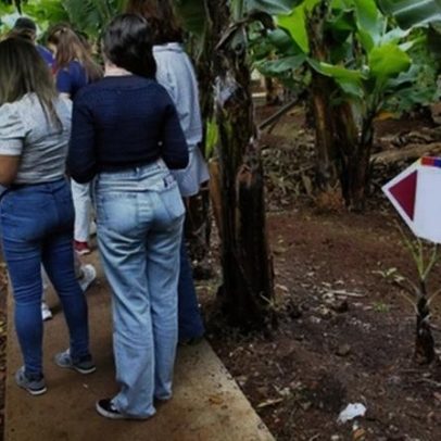 Fazenda Sá é inaugurada hoje em São Martinho