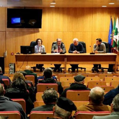 Biovespa discute controlo da vespa-das-galhas-do-castanheiro