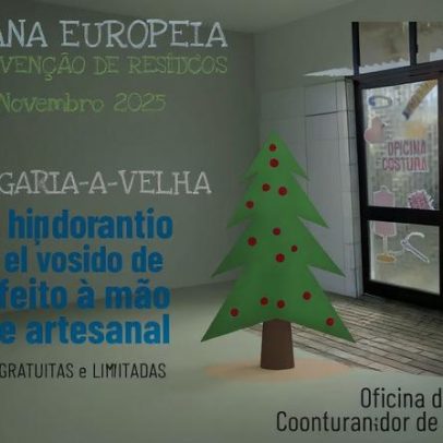 Albergaria-a-Velha promove workshop de enfeites de Natal feitos à mão