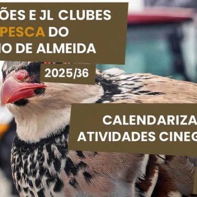 Almeida aposta em turismo cinegético para 2025/2026