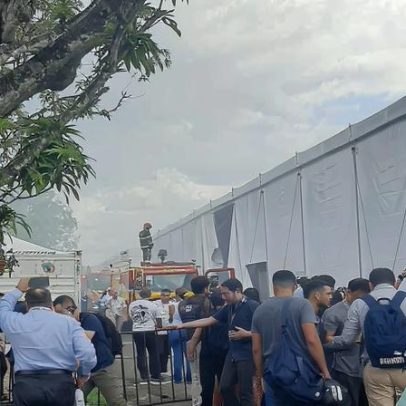 Presidente da Quercus: bombeiros chegaram rápido e não houve pânico