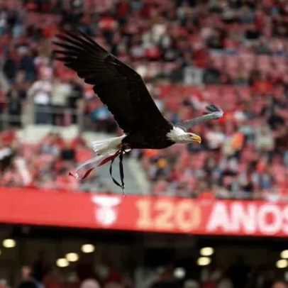 Benfica adere à Aliança de Clubes de Futebol pelo Clima