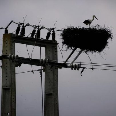Novos cortes de luz previstos para os próximos dias