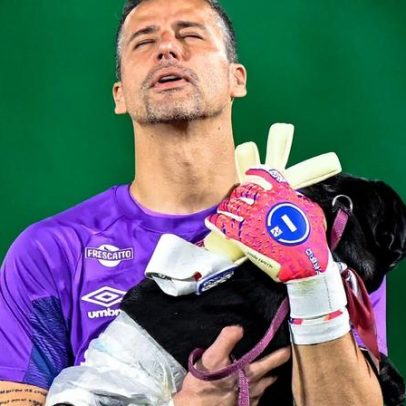 Jogadores entram em campo com cães para adoção no Brasil