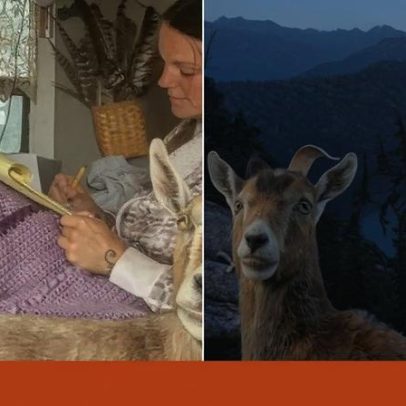 Ela salvou uma cabra bebé e agora viajam numa carrinha e dormem juntas