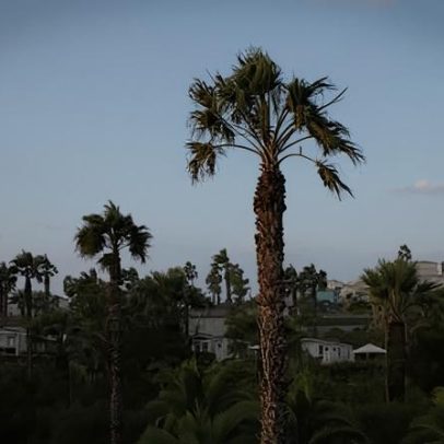 Mulher britânica de 85 anos morre vítima de tornado em Albufeira