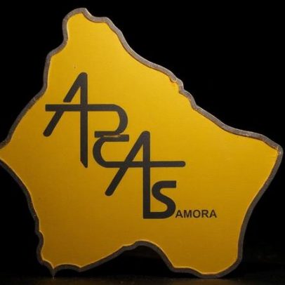 ARCAS tem nova direção e garante continuidade dos festejos em Samora Correia