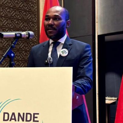 Angola apresenta Dande Park 1 na China e avança parcerias para expansão industrial