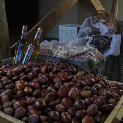 Festa da Castanha celebra tradições em Aldeia das Dez, Oliveira do Hospital