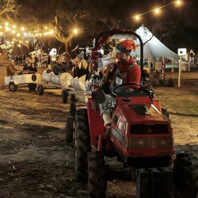 Maior vila de Natal do Alentejo abre com safari, arborismo e pista de gelo