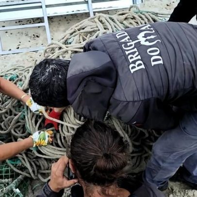 Brigada do Mar de Grândola chega à final do Prémio Mota e recebe atenção nacional