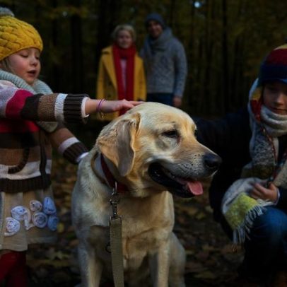 Cãominhada de Natal realiza-se a 14 de dezembro em Paços de Ferreira