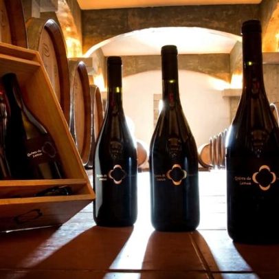 Quinta de Lemos abre a adega a visitas e provas de vinho gratuitas