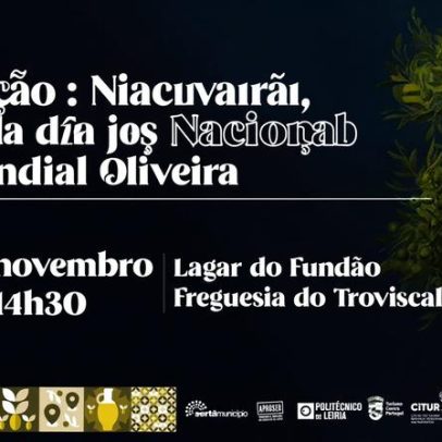 Sertã celebra Dia Mundial da Oliveira com várias iniciativas