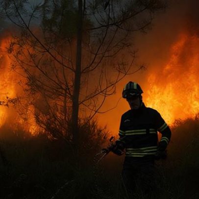 Fogos de 2024 e 2025 expõem falhas de coordenação